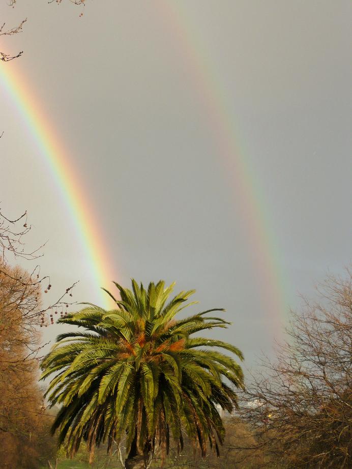 [double+rainbow+2007.JPG]