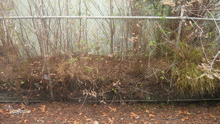 [fence.JPG]