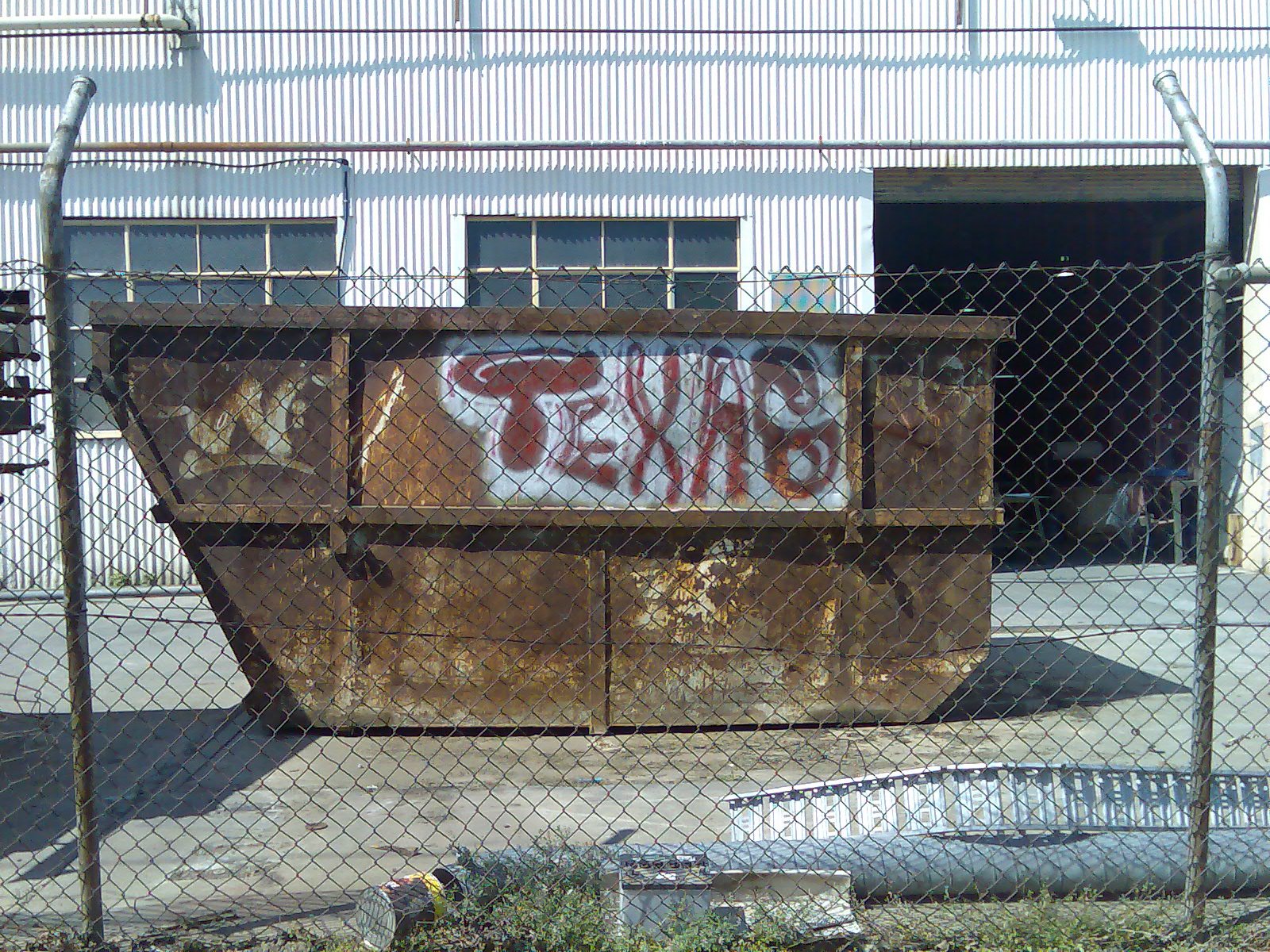 [Picture+510.jpg]