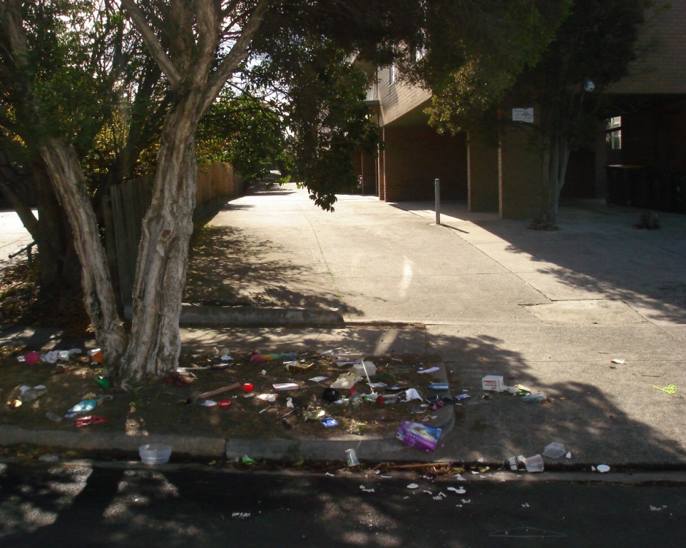 [litter.JPG]