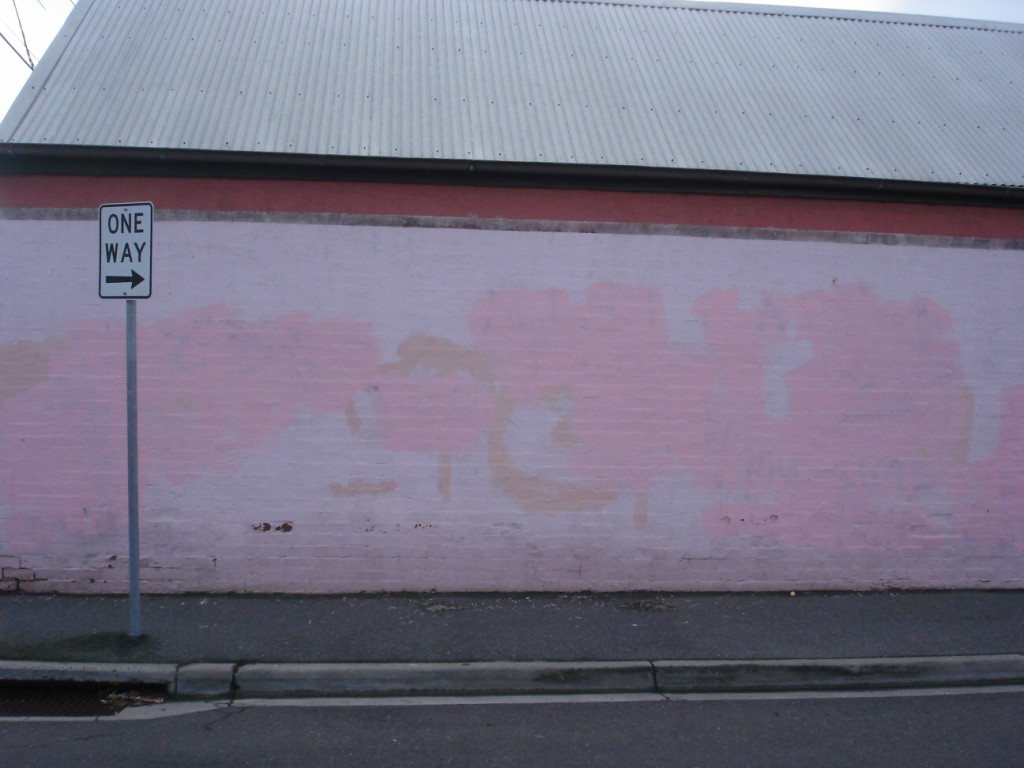 [pink+wall.JPG]