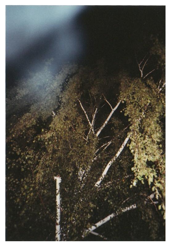 [IMG_0002+[1024x768].jpg]