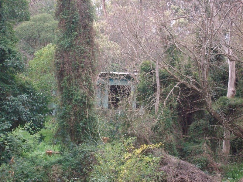 [abandoned+eltham+(11).JPG]