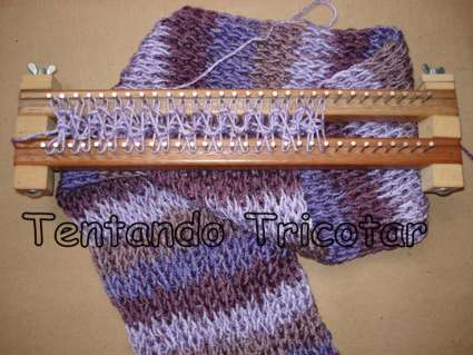 [cachecol+lilas.jpg]