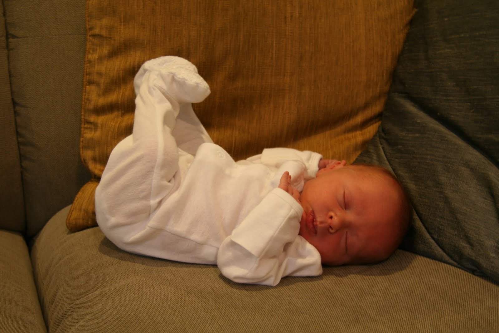 The Burrus Family Breech Legs