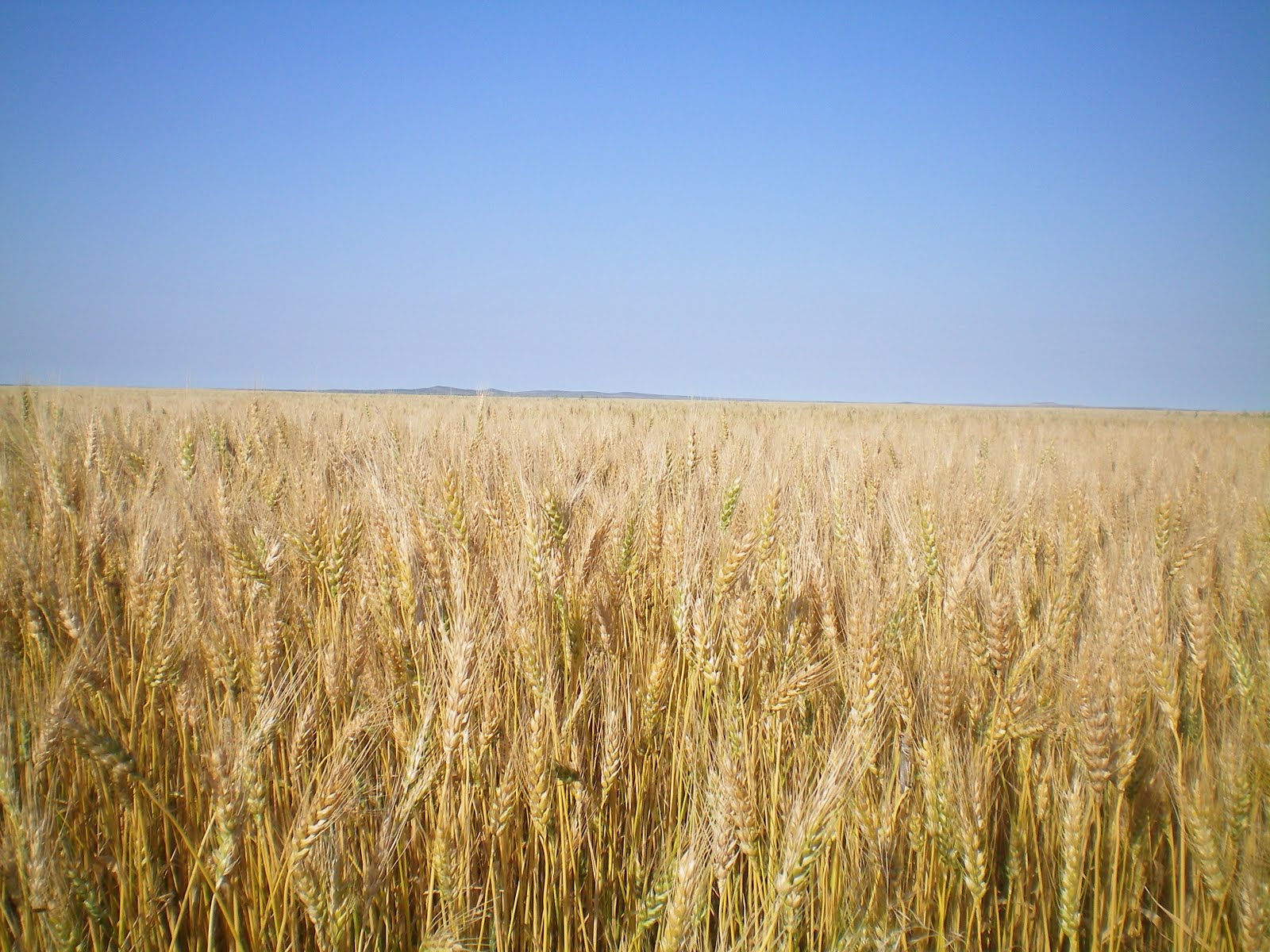Mark's Trek Across America Day 25 July 15th Pierre, SD to Chamberlain, SD