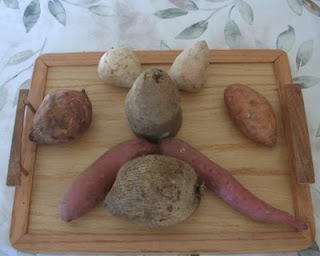 Hey dude. Yam Man, here. I might be ugly but check out my eyes and ears and nose and mouth (and moo-stash) for the inside scoop on yams and sweet potatoes.