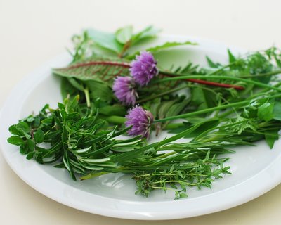 [Fresh+Herbs+400.jpg]