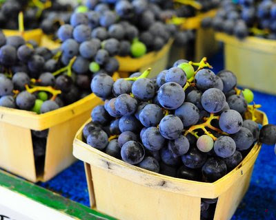 Concord grapes