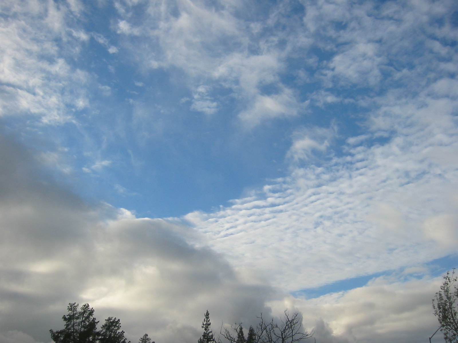 [Sonoma+Scalar+skies+3+Feb+2007.JPG]