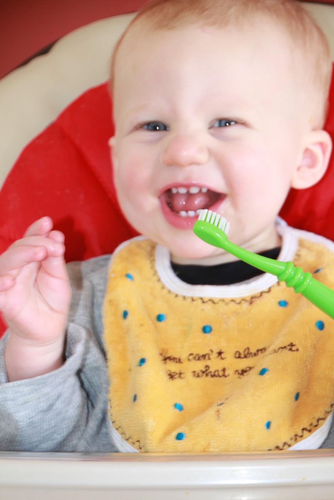 And Baby Makes Four...plus one furry friend! When we wake up in the