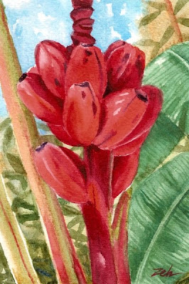 Red bananas watercolor painting by Janet Zeh