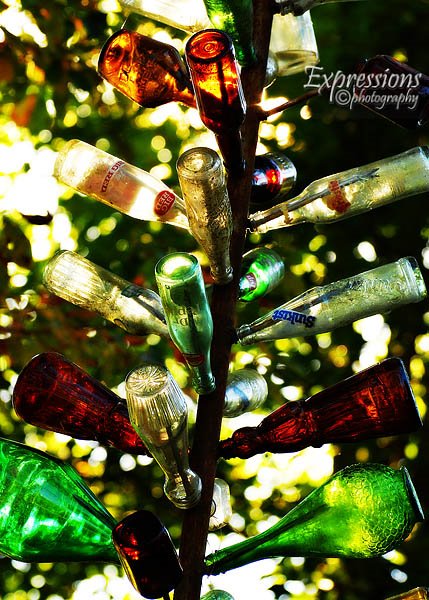Bottle Tree