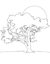 Tree with Branches