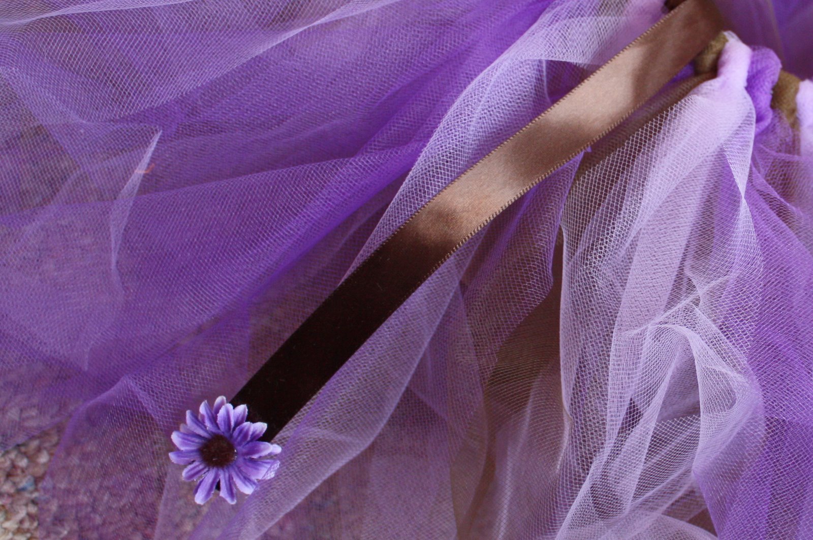 [IMG_0589.JPG]
