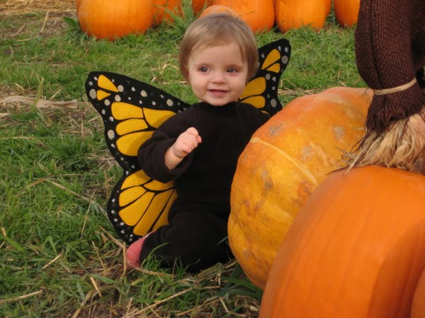[l'il+butterfly.jpg]