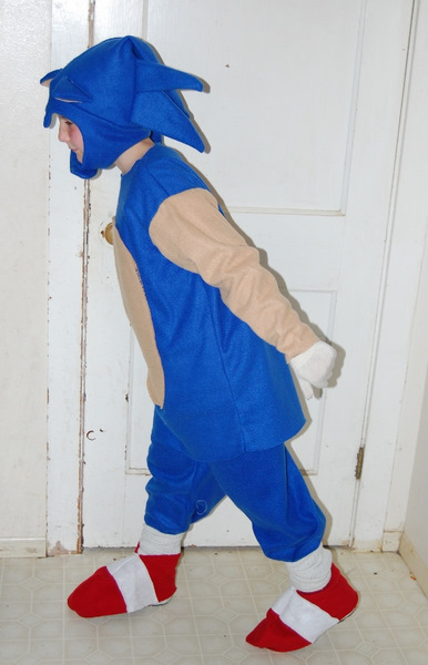 [websonic1.jpg]