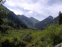 Sequoia-Kings Canyon