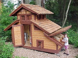 chicken coop disease respiratory vs