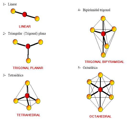 Biologia de la Célula agosto 2010