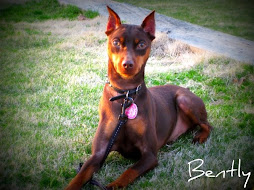 My Bently