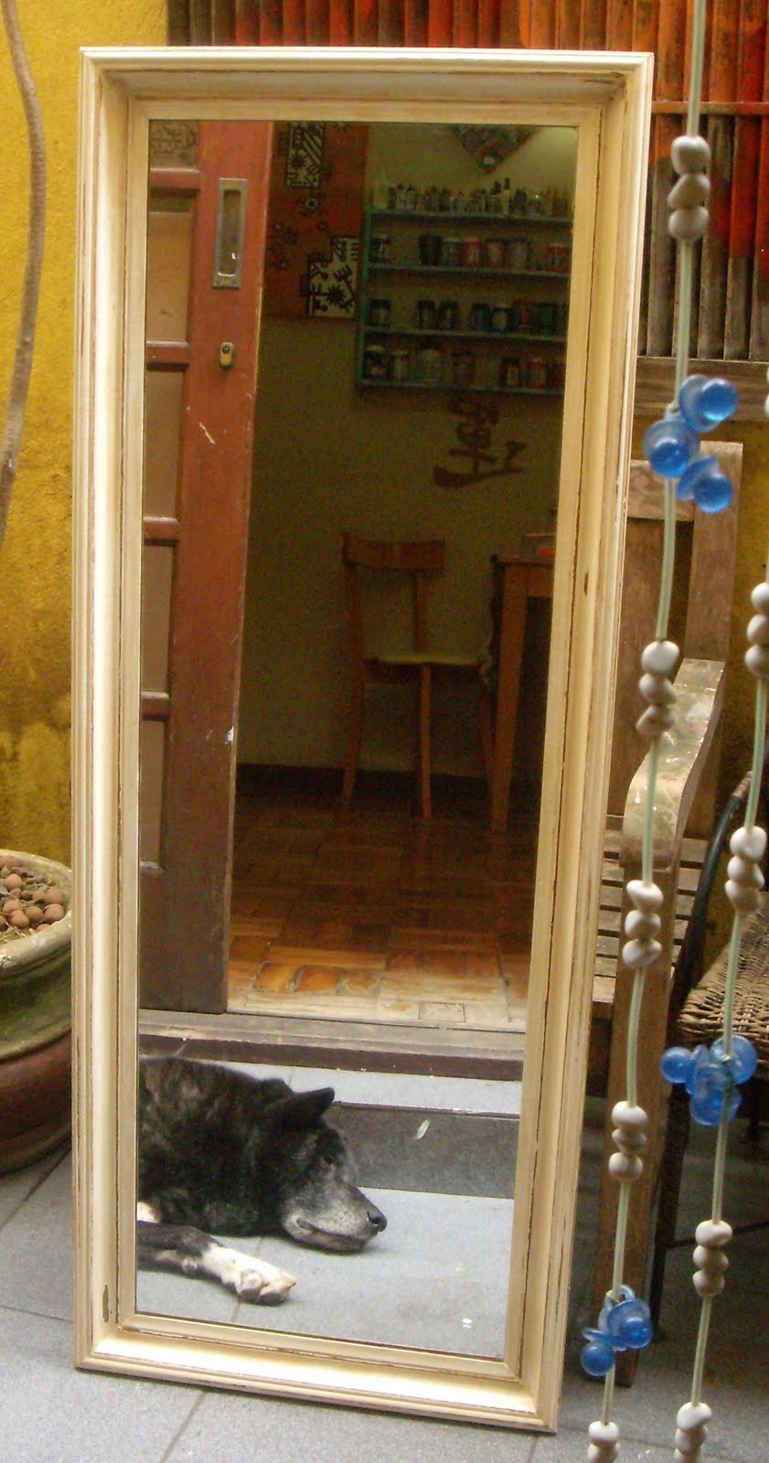 [DSCN6340.JPG]