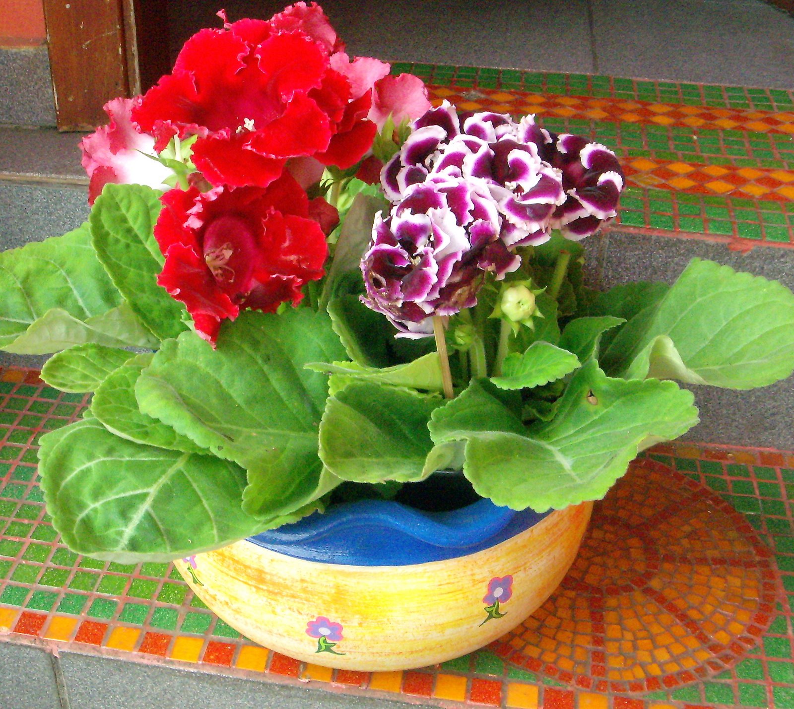 [DSCN4673.JPG]