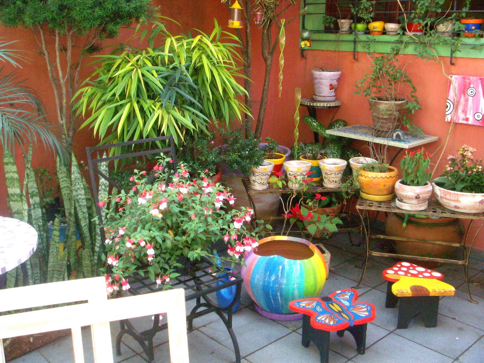 [DSCN5544.JPG]