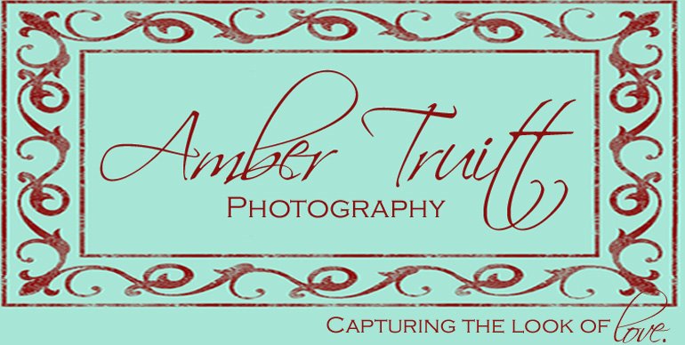 Amber Truitt Photography