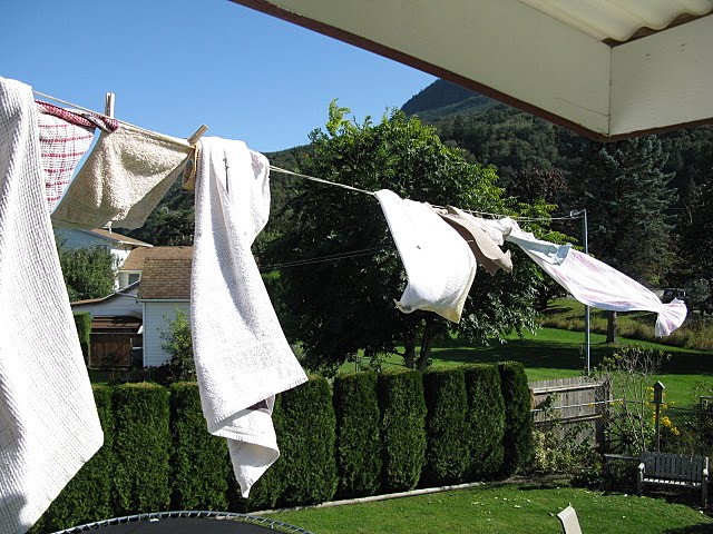 [IMG_0525.JPG]