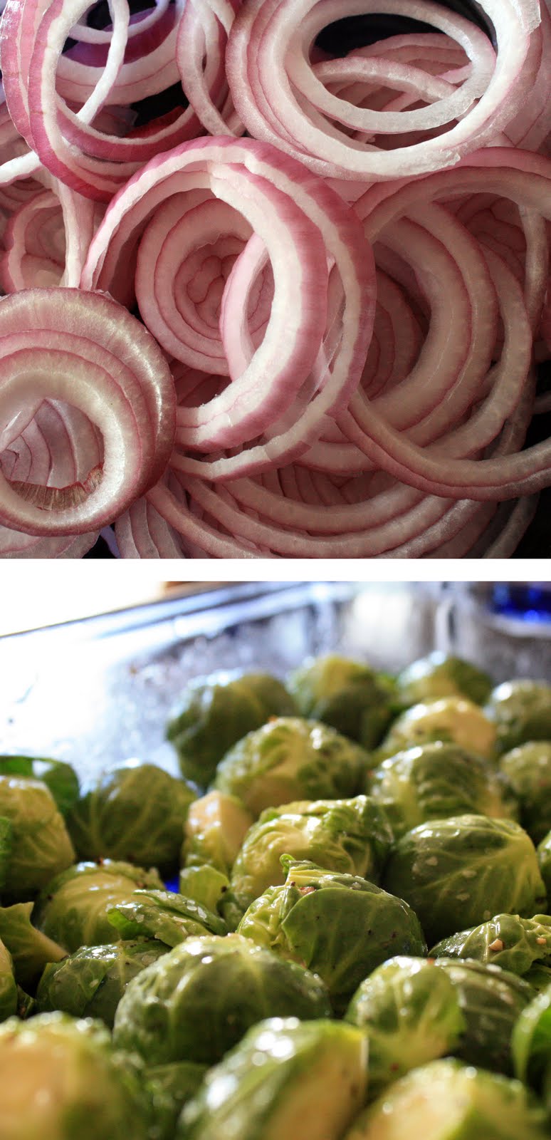 Balsamic Onions and Roasted Brussel Sprouts Primal Palate Paleo Recipes