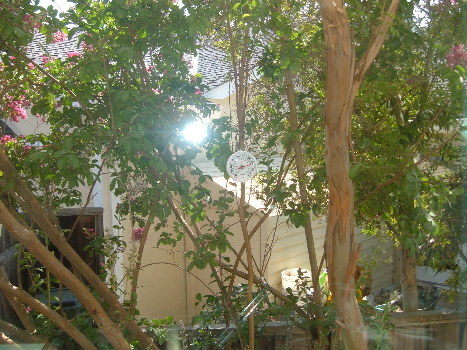 [view+from+kitchen+window.JPG]