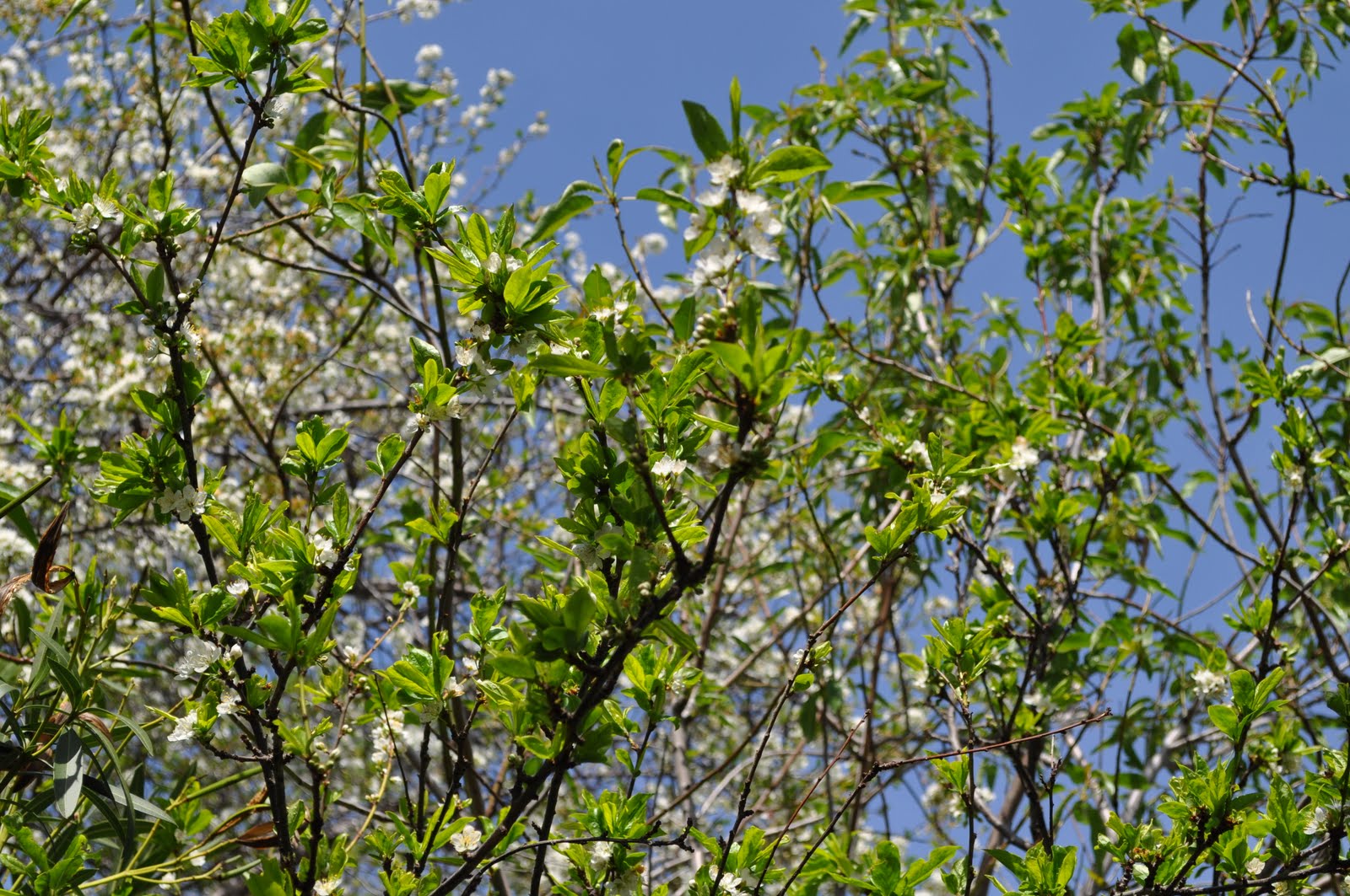 [DSC_0367.JPG]