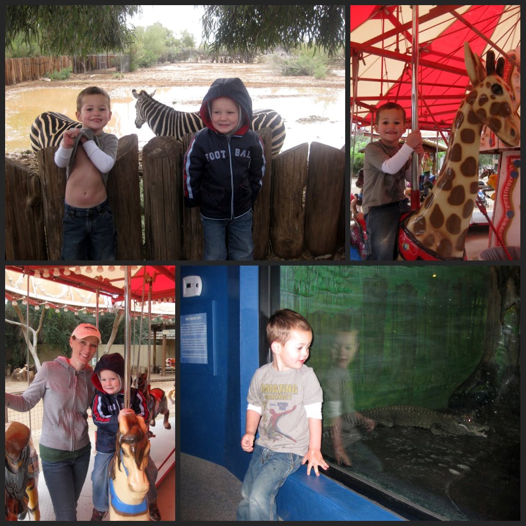 Ashtons {Field Trips to the ZOO}