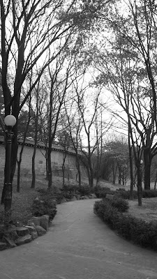 Bond's Blog: Random Park in Seoul - a photographic study