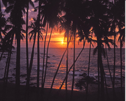 sun set di pantai bentota srilanka 1997