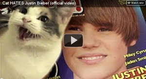 Cat Hates Justin Bieber