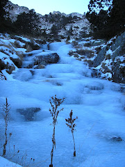 COMAPEDROSA. ANDORRA