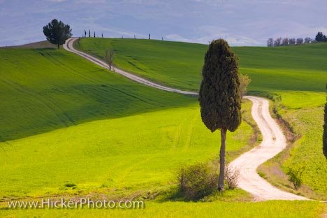[scenic-picture-tuscany_34660.jpg]