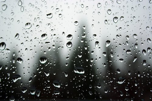 [396049262_c2dbbb80d1.jpg]