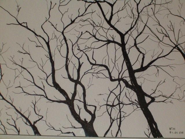 [Helena+Monteiro-troncos.jpg]