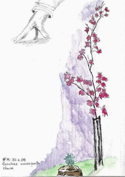 [Helena+Monteiro-conchasarv.jpg]