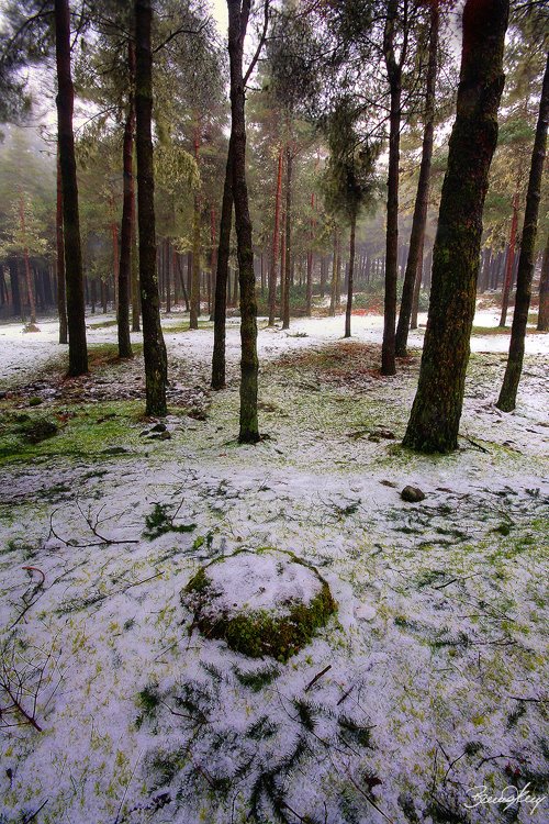 [BRUNO+ABREU-+OLHARES-2591703.jpg]