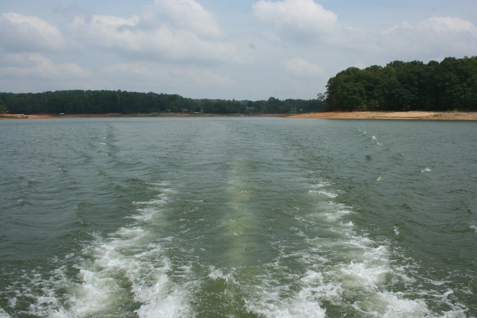 [IMG_0433.JPG]