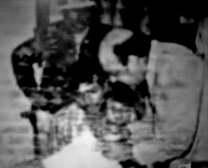 [Las+investigaciones+(002).JPG]