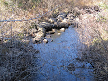 Wisconsin creek