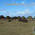 Chile 2010. Isla de Pascua. Vaihu Ahu.