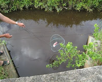 dropping the crab trap into the waterway