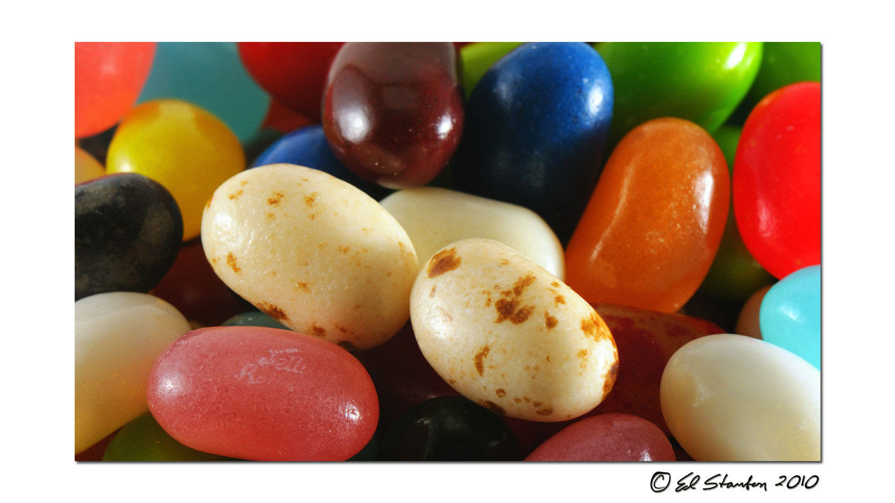 Ed Stanton Photography