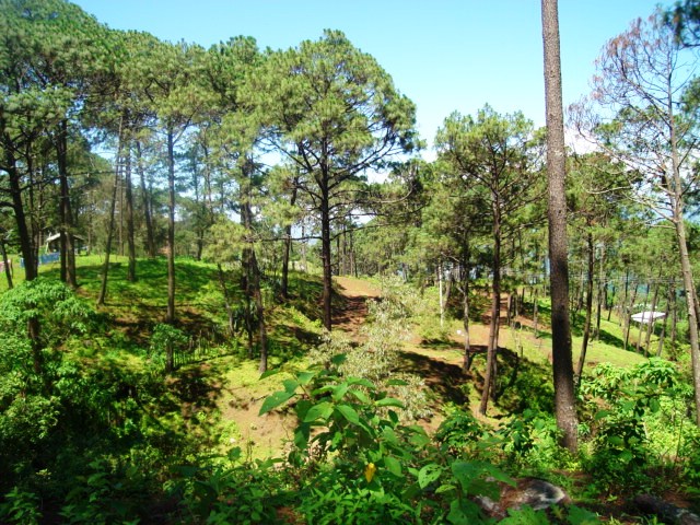 La Petaca "Pueblo con Magia"